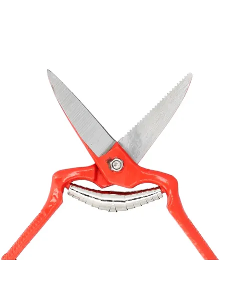 comprar tijeras vendimiar forjada recta 1 mano 19cm en tienda abonica