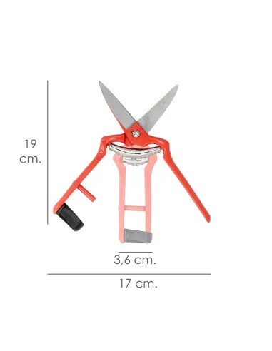 comprar tijeras vendimiar forjada recta 1 mano 19cm en abonica
