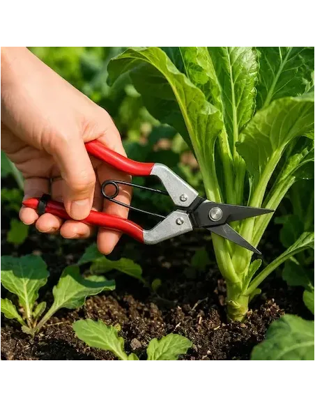 comprar tijeras recolectar uva 1 mano en abonica