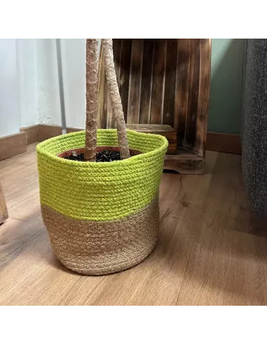 Cesta de algodón y yute verde y marrón con planta dentro