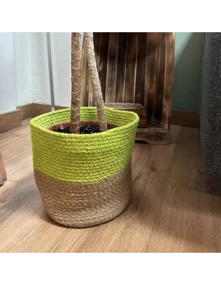 Cesta de algodón y yute verde y marrón con planta dentro