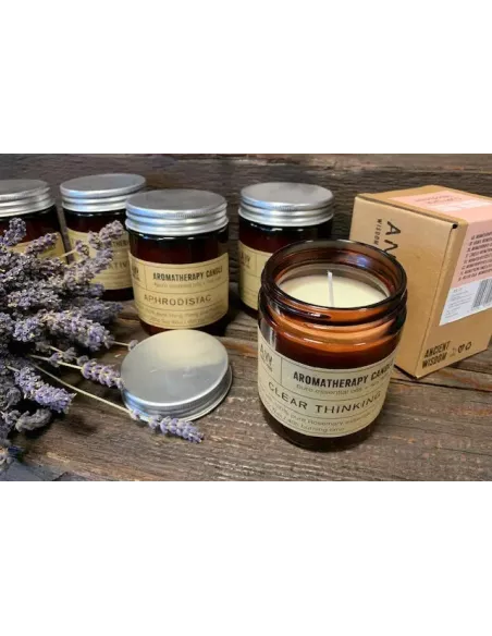 Vela de Aromaterapia Creatividad | Menta y Clavo | Cera de Soja