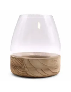 comprar terrario de madera natural en tienda online abonica