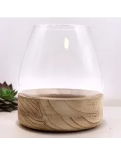 comprar terrario de madera natural en tienda online abonica 2