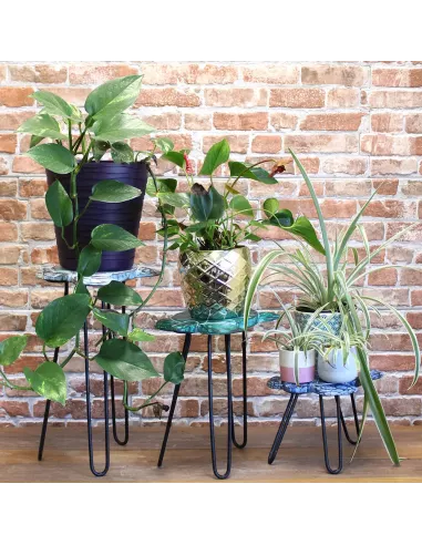 Juego de 3 Maceteros de Madera Albasia Tortugas | Decoración Natural