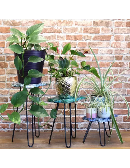 Juego de 3 Maceteros de Madera Albasia Tortugas | Decoración Natural