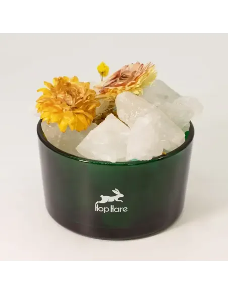 comprar cristales difusores con flores el león en abonica