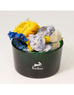 comprar cristales difusores con flores el sol en abonica