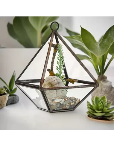 Terrario de Vidrio Pequeño Diamante | Decoración de Lujo para Interiores y Exteriores