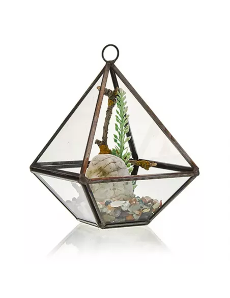 Terrario de Vidrio Pequeño Diamante | Decoración de Lujo para Interiores y Exteriores