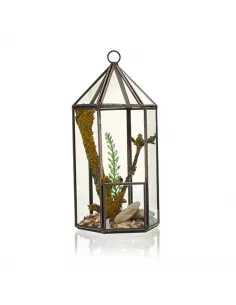 Terrario de Vidrio Linterna | Decoración de Lujo para Interiores y Exteriores 2