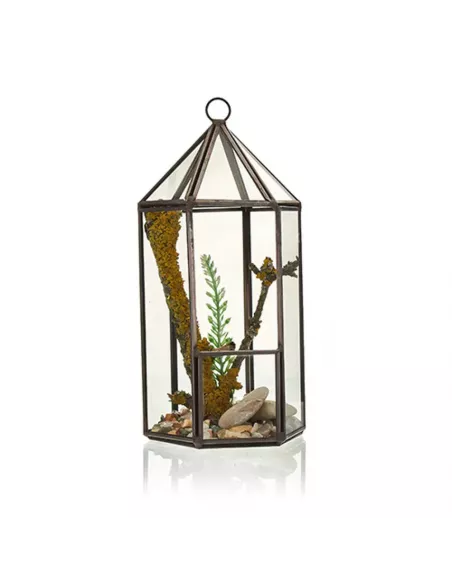 Terrario de Vidrio Linterna | Decoración de Lujo para Interiores y Exteriores
