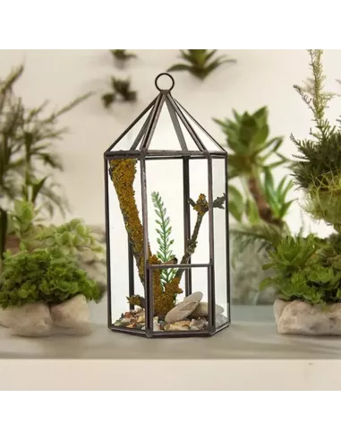 Terrario de Vidrio Linterna | Decoración de Lujo para Interiores y Exteriores