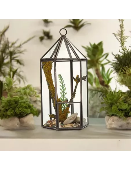 Terrario de Vidrio Linterna | Decoración de Lujo para Interiores y Exteriores