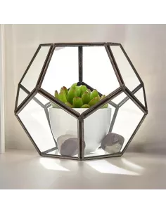 Terrario de Vidrio Octágono Grande | Decoración Minimalista y de Lujo 2