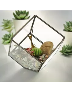 Terrario de Vidrio Cubo en la Esquina | Decoración Minimalista y Moderna de Lujo 2