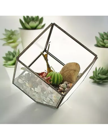 Terrario de Vidrio Cubo en la Esquina | Decoración Minimalista y Moderna de Lujo