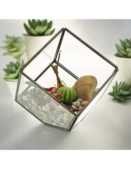 Terrario de Vidrio Cubo en la Esquina | Decoración Minimalista y Moderna de Lujo