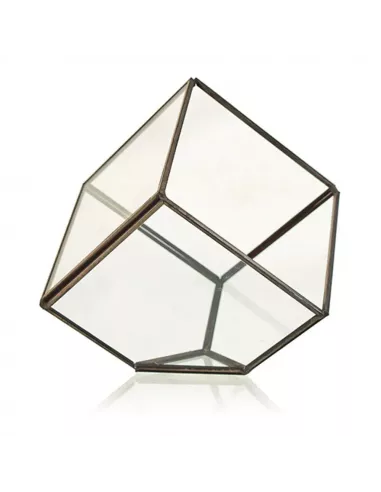 Terrario de Vidrio Cubo en la Esquina | Decoración Minimalista y Moderna de Lujo