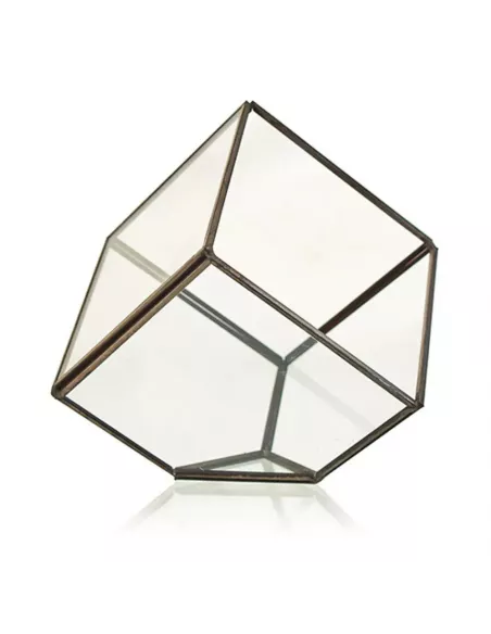 Terrario de Vidrio Cubo en la Esquina | Decoración Minimalista y Moderna de Lujo