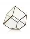 Terrario de Vidrio Cubo en la Esquina | Decoración Minimalista y Moderna de Lujo