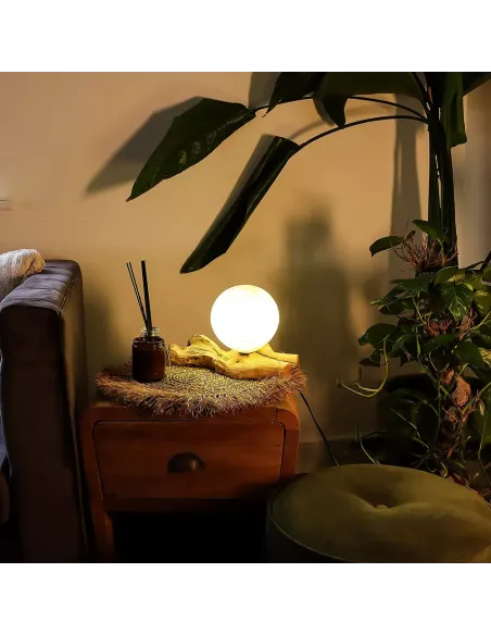 Lámpara de Mesa con Pantalla Esférica - Iluminación Premium - Varias tonalidades