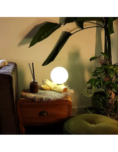 Lámpara de Mesa con Pantalla Esférica - Iluminación Premium - Varias tonalidades