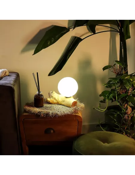 Lámpara de Mesa con Pantalla Esférica - Iluminación Premium - Varias tonalidades