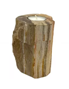 Portavelas de Madera Petrificada Individual Alto | Elegancia Natural y Atemporal