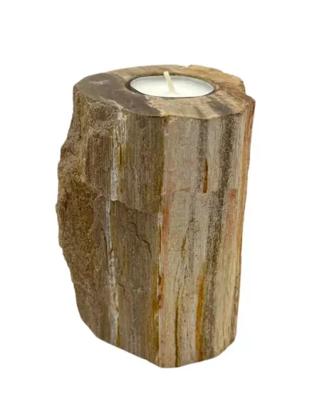 Portavelas de Madera Petrificada Individual Alto | Elegancia Natural y Atemporal