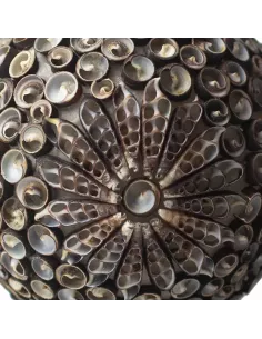 Lámpara Boho Sea Shell Chocolate Twist Square 15 cm | Iluminación Artesanal 2