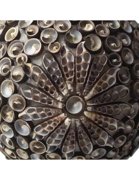 Lámpara Boho Sea Shell Chocolate Twist Square 15 cm | Iluminación Artesanal
