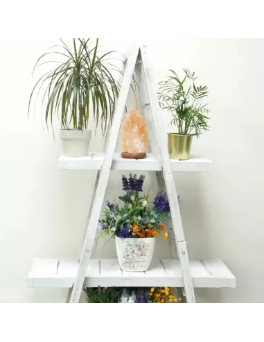 Plegable “A” Frame Display Blanco y Marrón | Exhibición Elegante y Rústica