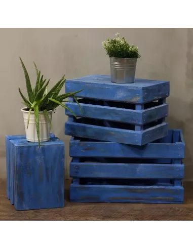 Caja de Frutas Decorativa | Set de 3 en Varios Colores