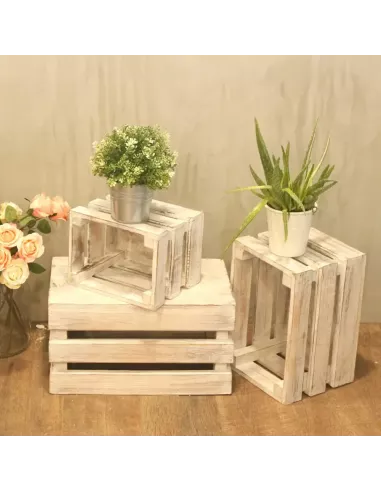 Caja de Frutas Decorativa | Set de 3 en Varios Colores