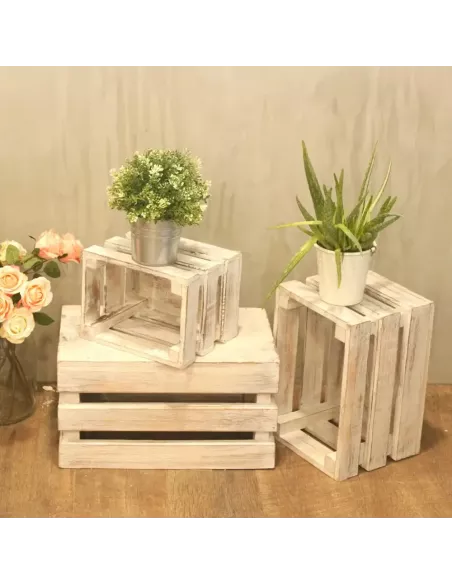 Caja de Frutas Decorativa | Set de 3 en Varios Colores
