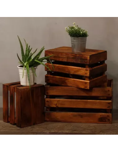 Caja de Frutas Decorativa | Set de 3 en Varios Colores