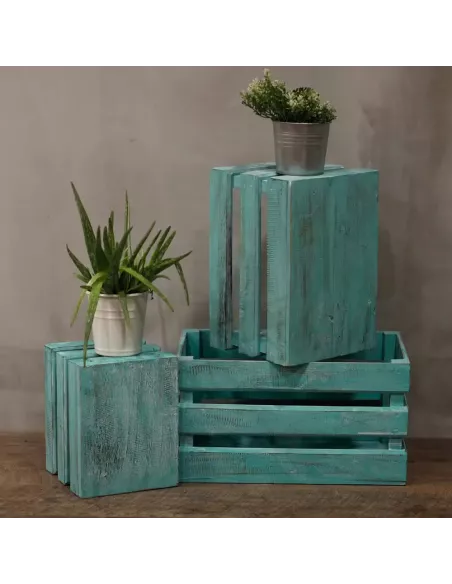 Caja de Frutas Decorativa | Set de 3 en Varios Colores