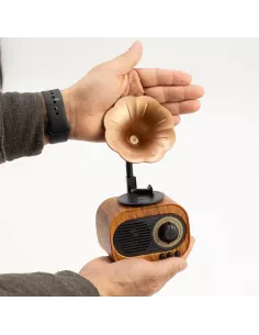 Altavoz Mini Gramófono Retro Bluetooth y Radio FM – 5W – Diseño Vintage 2