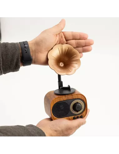 Altavoz Mini Gramófono Retro Bluetooth y Radio FM – 5W – Diseño Vintage