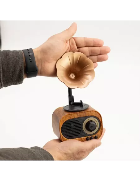 Altavoz Mini Gramófono Retro Bluetooth y Radio FM – 5W – Diseño Vintage