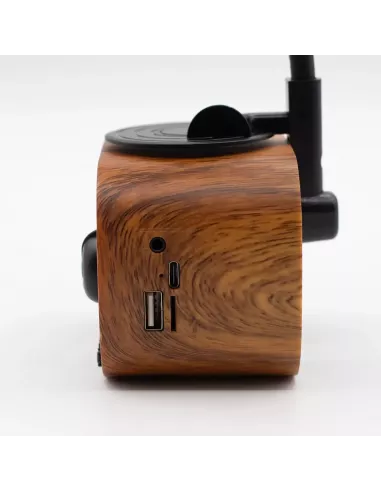 Altavoz Mini Gramófono Retro Bluetooth y Radio FM – 5W – Diseño Vintage