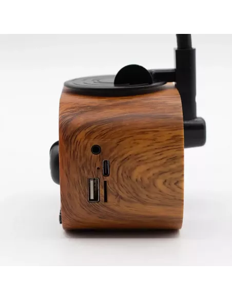 Altavoz Mini Gramófono Retro Bluetooth y Radio FM – 5W – Diseño Vintage