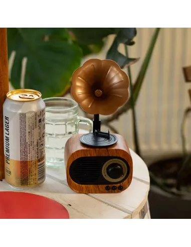 Altavoz Mini Gramófono Retro Bluetooth y Radio FM – 5W – Diseño Vintage