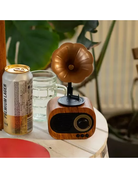 Altavoz Mini Gramófono Retro Bluetooth y Radio FM – 5W – Diseño Vintage