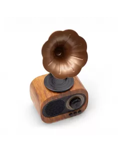 Altavoz Mini Gramófono Retro Bluetooth y Radio FM – 5W – Diseño Vintage