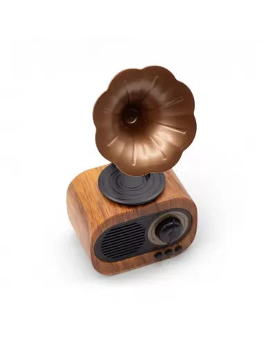 Altavoz Mini Gramófono Retro Bluetooth y Radio FM – 5W – Diseño Vintage