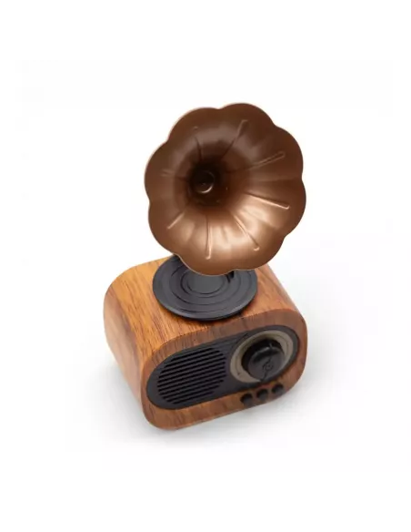Altavoz Mini Gramófono Retro Bluetooth y Radio FM – 5W – Diseño Vintage