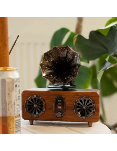 Altavoz de Gramófono Doble Mini Retro Bluetooth 5,4W x 2 – Estilo Vintage
