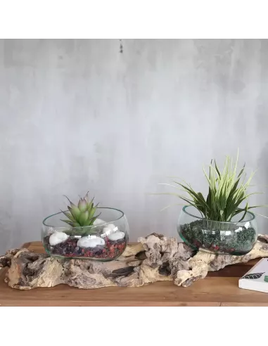 Vidrio en Soporte Doble Extragrande 70 cm | Diseño Natural y Sostenible